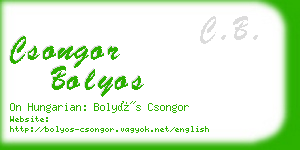 csongor bolyos business card